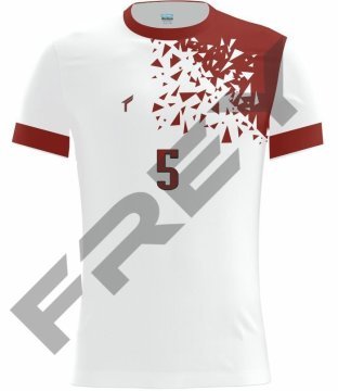 Ev 11 Voleybol